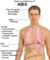 Diagnostico da aids_tiny